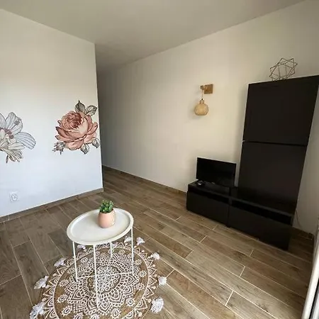 Joli T2 Climatise, Jardin, Tout Confort, Idealement Situe Le Grau-dʼAgde Extérieur photo