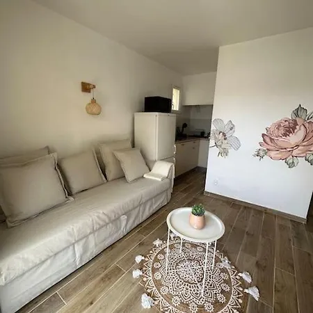Joli T2 Climatise, Jardin, Tout Confort, Idealement Situe Le Grau-dʼAgde Extérieur photo