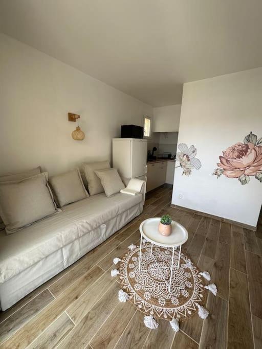 Joli T2 Climatise, Jardin, Confort, Idealement Situe * Le Grau d'Agde